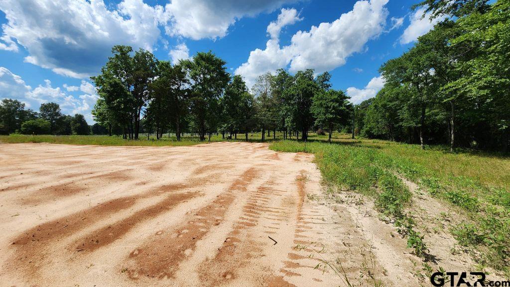 151 Bluewood Road Big Sandy, TX 75755 - Photo 17 of 33