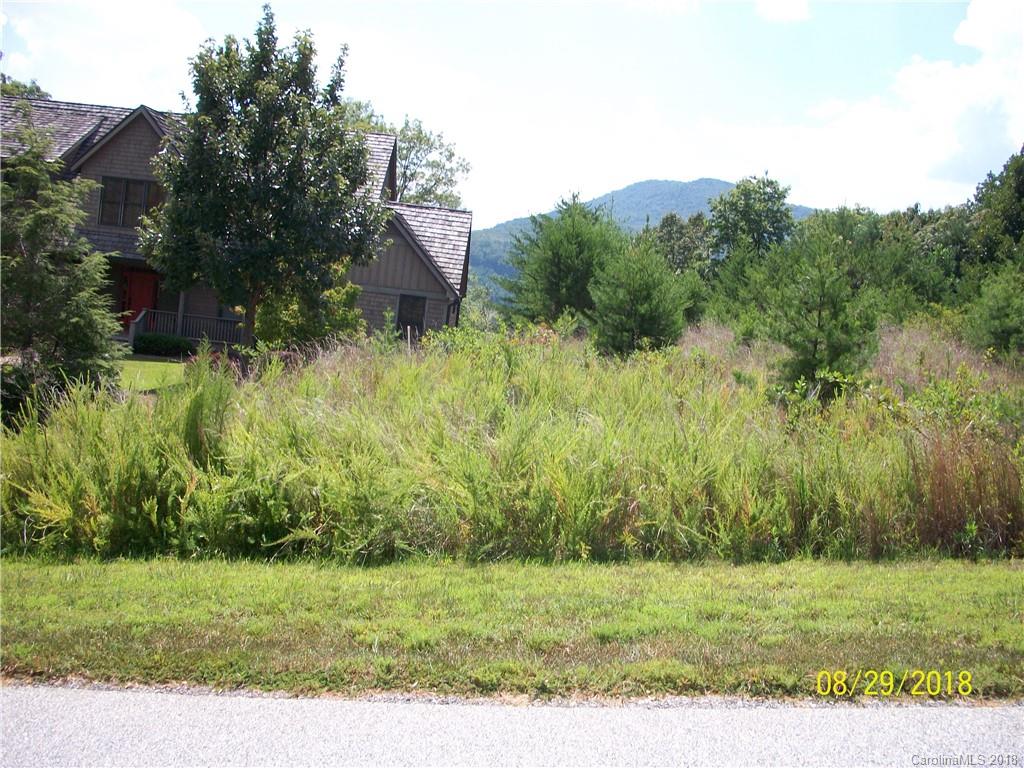 Lot 94 Deep Gap Farm Road East, Unit 94 Mill Spring, NC 28756 - Photo 2 of 13