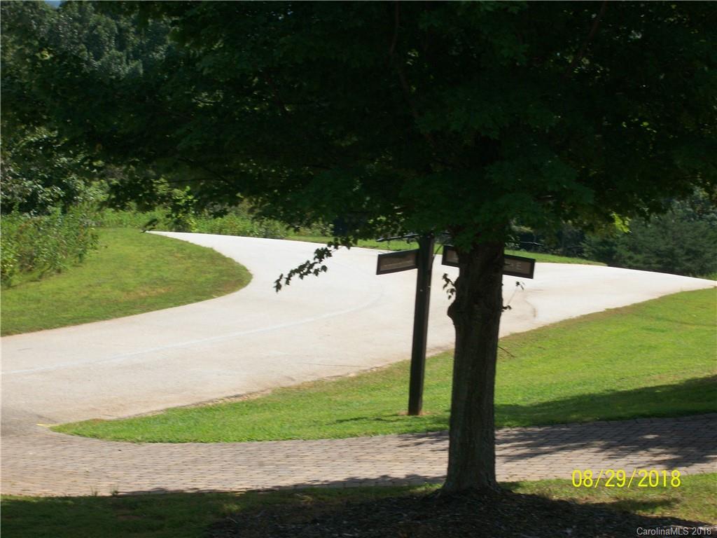 Lot 94 Deep Gap Farm Road East, Unit 94 Mill Spring, NC 28756 - Photo 12 of 13