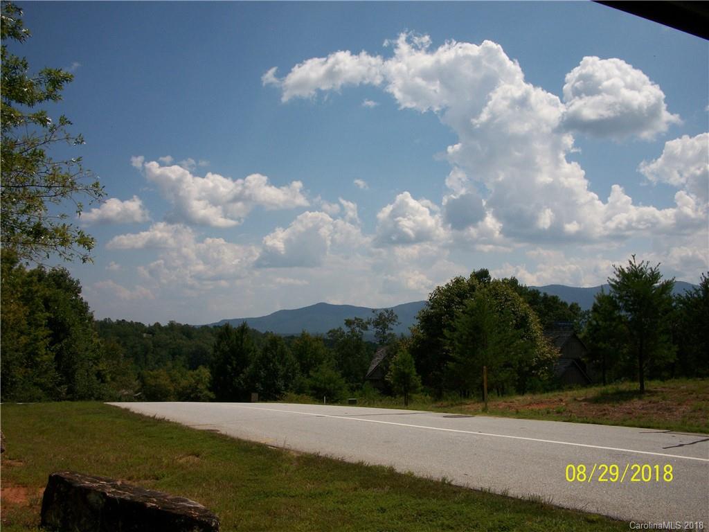 Lot 94 Deep Gap Farm Road East, Unit 94 Mill Spring, NC 28756 - Photo 4 of 13