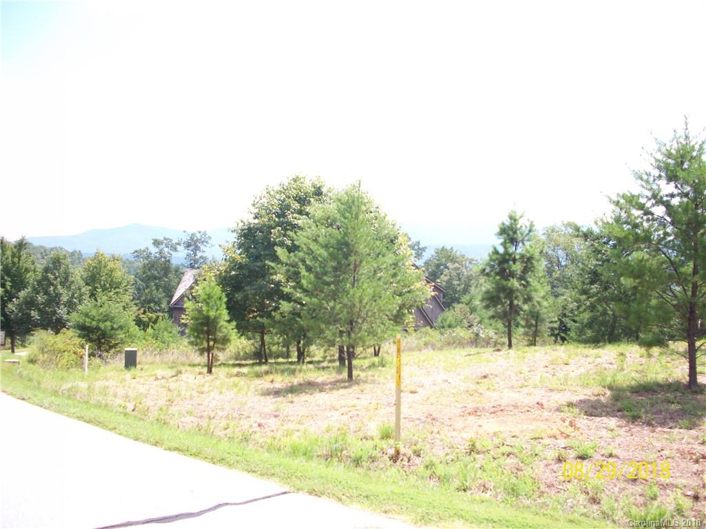 Lot 94 Deep Gap Farm Road East, Unit 94 Mill Spring, NC 28756 - Photo 5 of 13