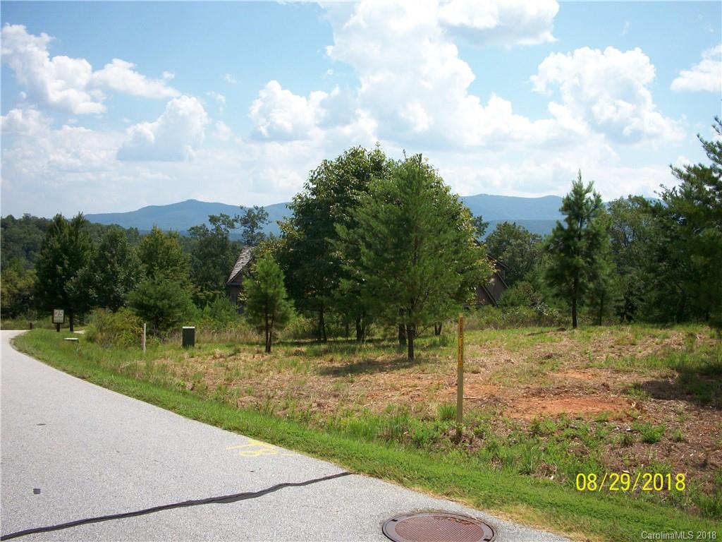 Lot 94 Deep Gap Farm Road East, Unit 94 Mill Spring, NC 28756 - Photo 6 of 13