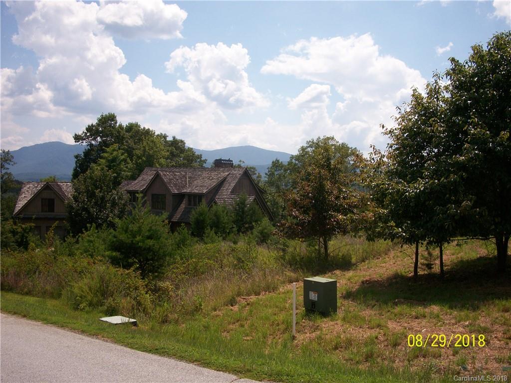 Lot 94 Deep Gap Farm Road East, Unit 94 Mill Spring, NC 28756 - Photo 7 of 13