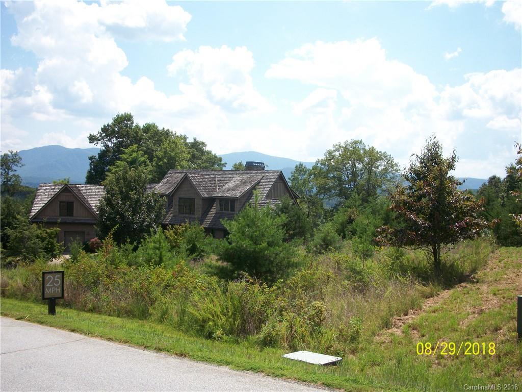 Lot 94 Deep Gap Farm Road East, Unit 94 Mill Spring, NC 28756 - Photo 8 of 13
