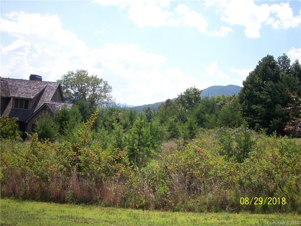 Lot 94 Deep Gap Farm Road East, Unit 94 Mill Spring, NC 28756 - Photo 9 of 13