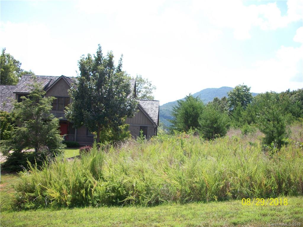 Lot 94 Deep Gap Farm Road East, Unit 94 Mill Spring, NC 28756 - Photo 10 of 13