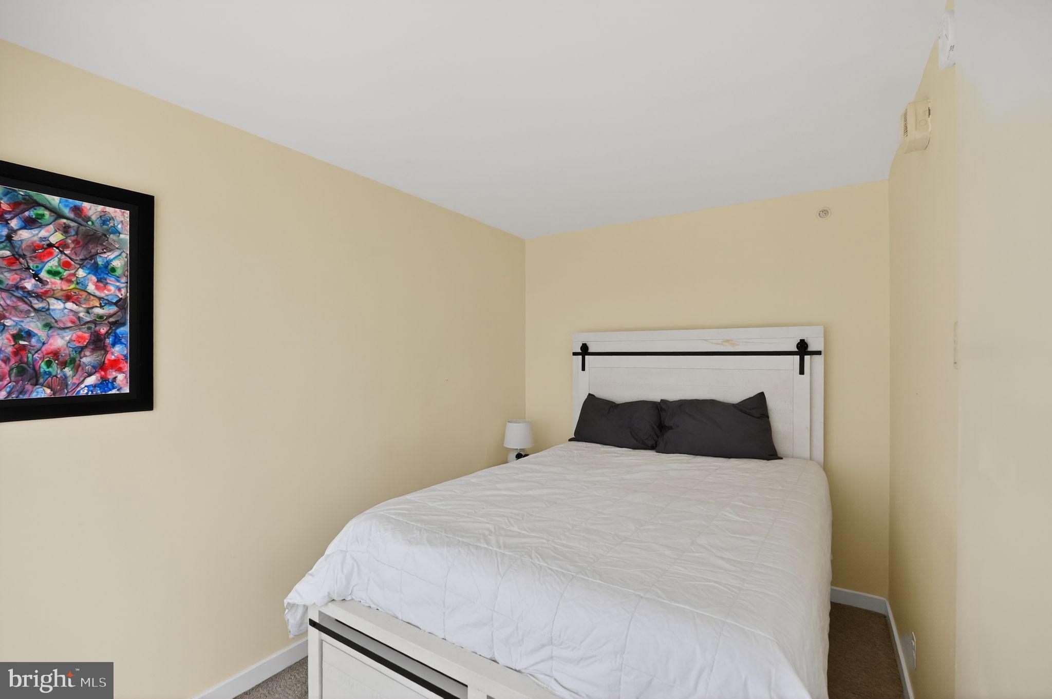 1101 3rd Street Southwest, Unit 111 Washington, DC 20024 - Photo 15 of 40 a bedroom with a bed and wall painting