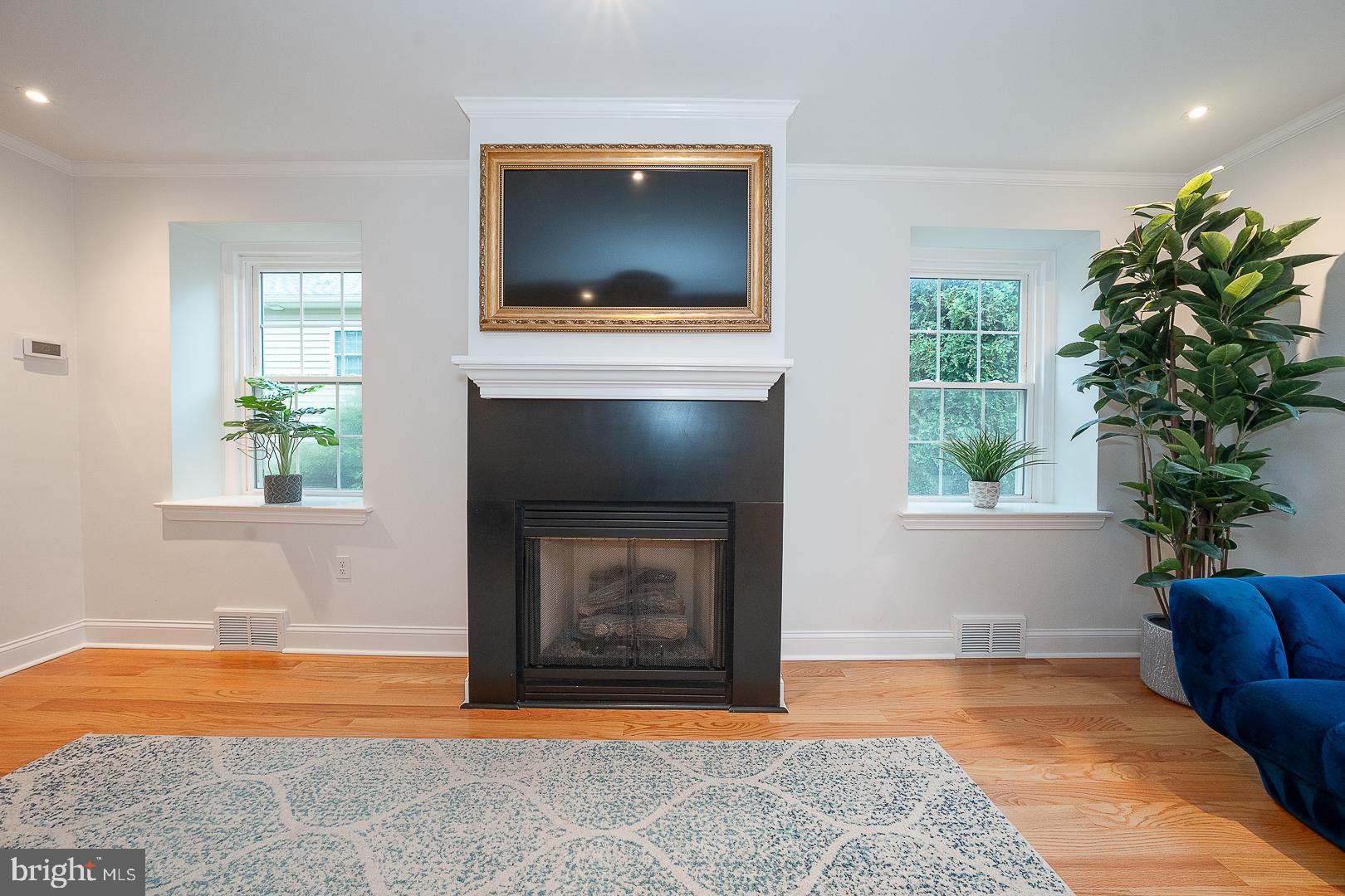 220 Dorset Road Devon, PA 19333 - Photo 7 of 32 a living room with a fireplace and potted plants