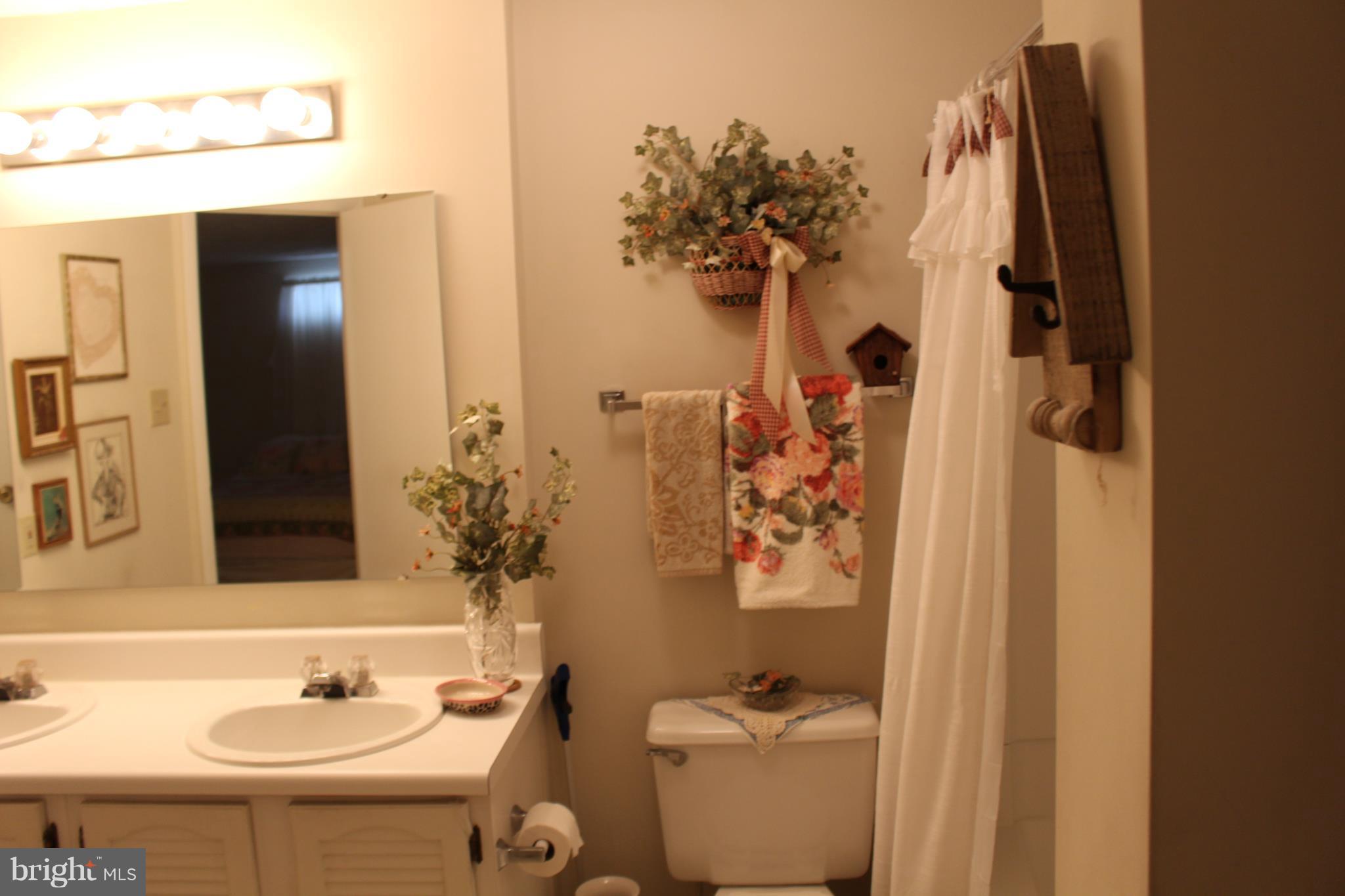 26008 Brigadier Place, Unit E Damascus, MD 20872 - Photo 8 of 29 Bath (Master)