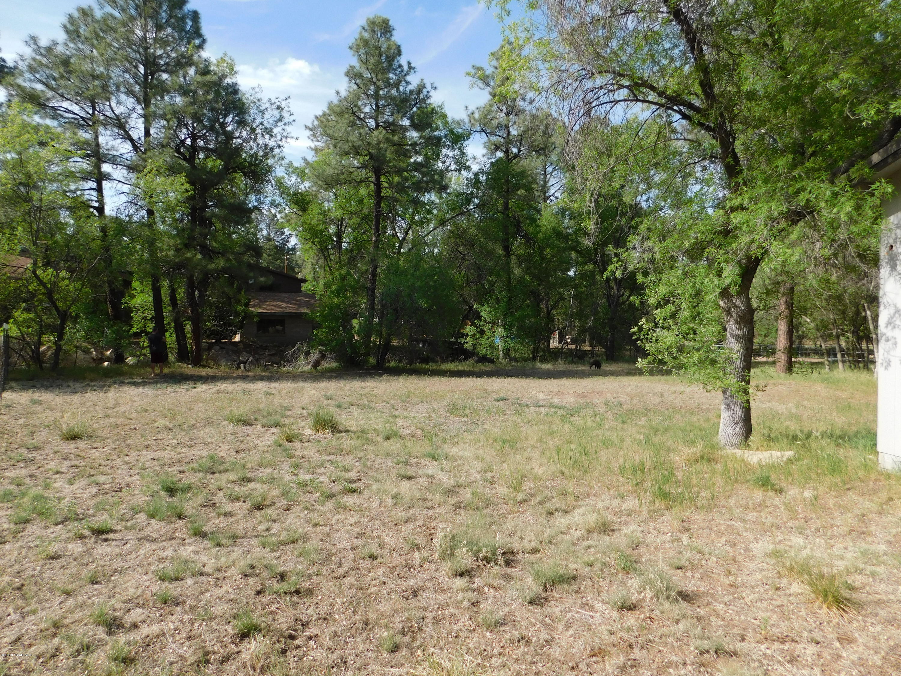 812 Copper Basin Road Prescott, AZ 86303 - Photo 24 of 48 Back Lot