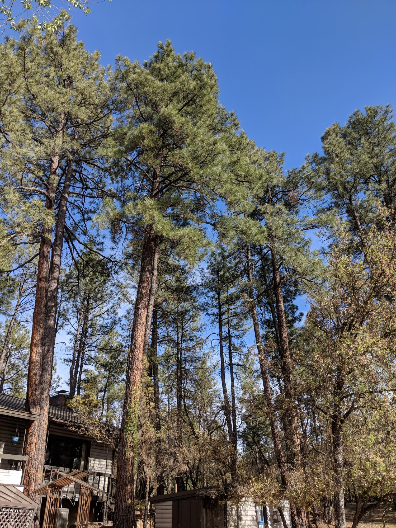 812 Copper Basin Road Prescott, AZ 86303 - Photo 4 of 48 Pines