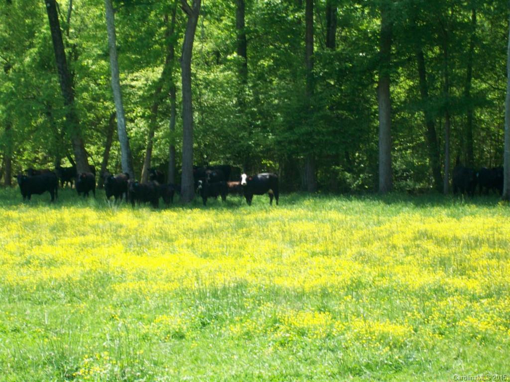 5029-extra Mobley Store Road McConnells, SC 29726 - Photo 1 of 19 Gallery Image 1