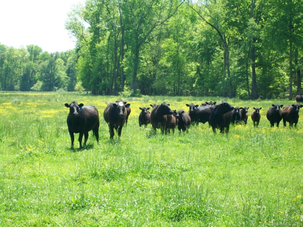 5029-extra Mobley Store Road McConnells, SC 29726 - Photo 11 of 19 Gallery Image 11