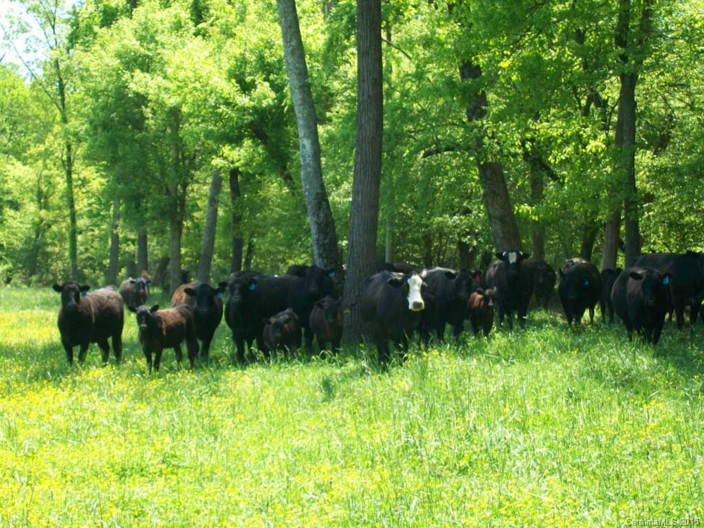 5029-extra Mobley Store Road McConnells, SC 29726 - Photo 12 of 19 Gallery Image 12