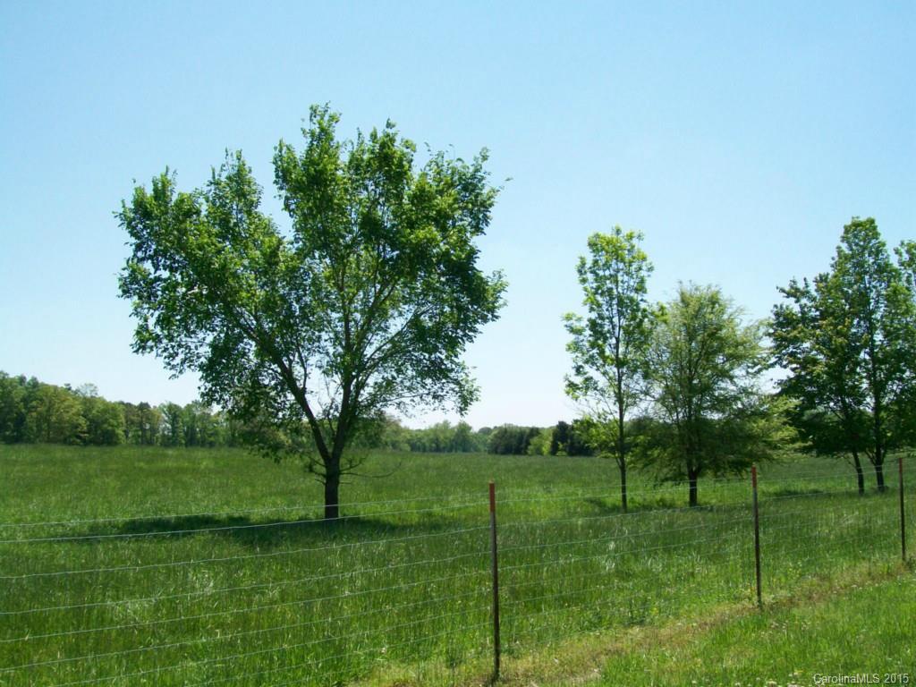 5029-extra Mobley Store Road McConnells, SC 29726 - Photo 4 of 19 Gallery Image 4