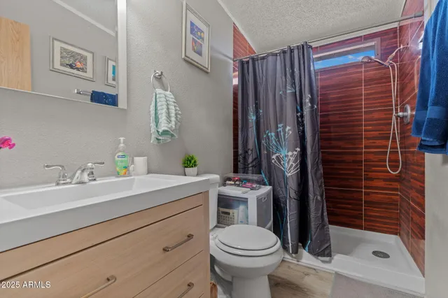 a bathroom with a sink toilet and shower