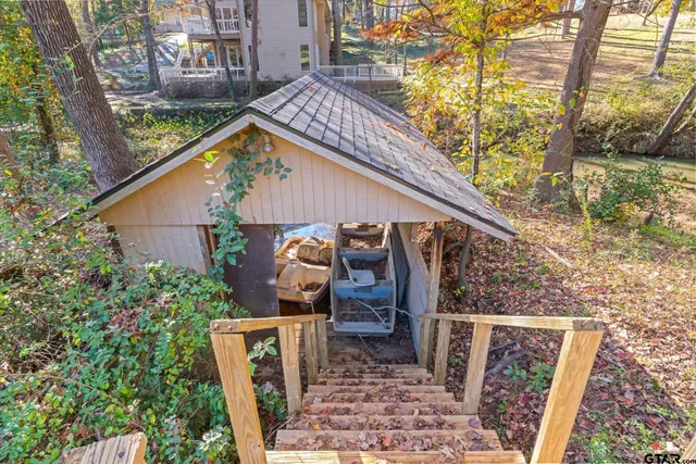 a tree in the middle of a yard