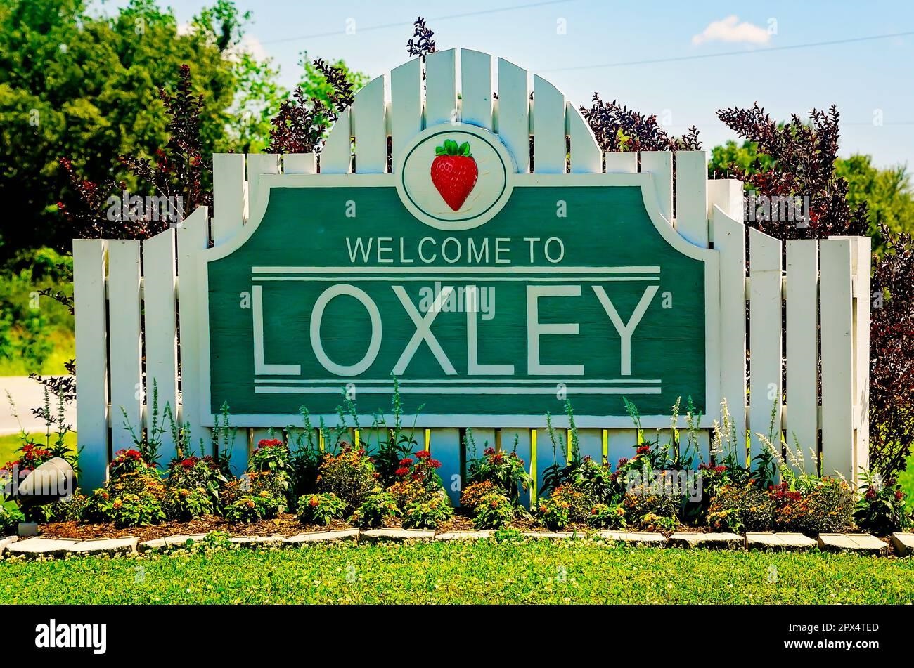 24588 Ponder Loop Loxley, AL 36551 - Photo 21 of 38 Welcome To Loxley