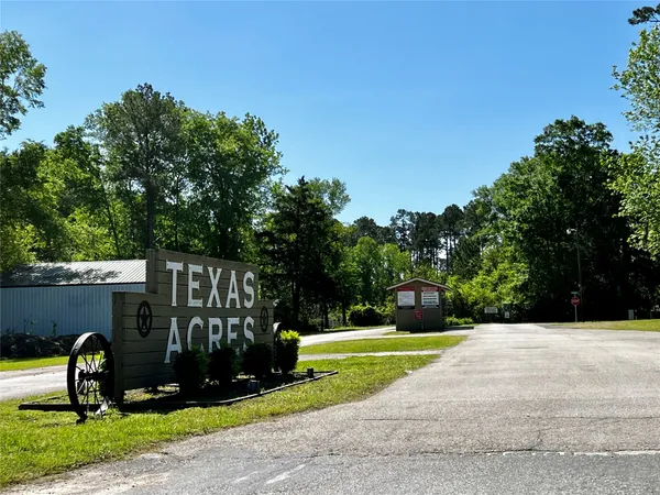 a view of a park with large trees