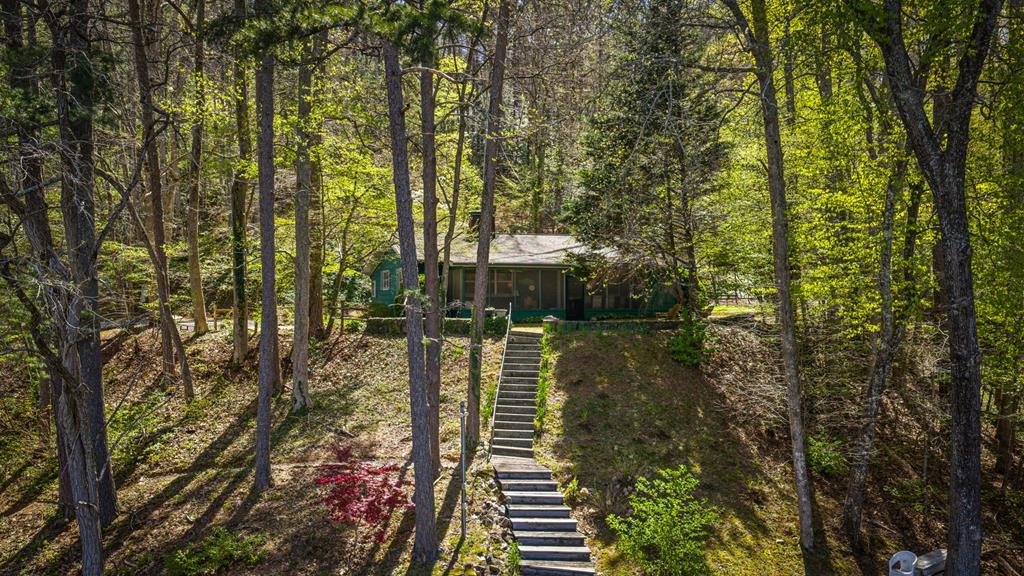 70 Rowland Pointe Morganton, GA 30560 - Photo 2 of 63