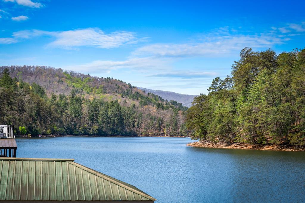 70 Rowland Pointe Morganton, GA 30560 - Photo 25 of 63