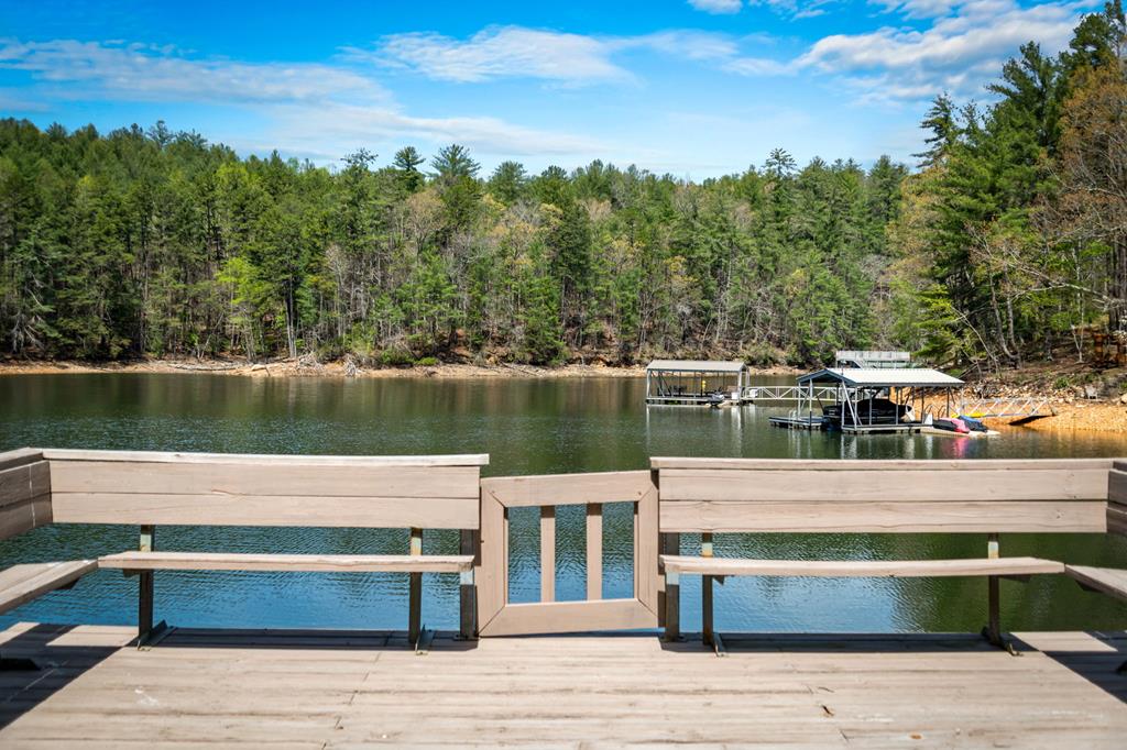 70 Rowland Pointe Morganton, GA 30560 - Photo 46 of 63