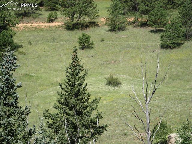 2130 Pathfinder Road Florissant, CO 80816 - Photo 32 of 32 Gallery Image 32