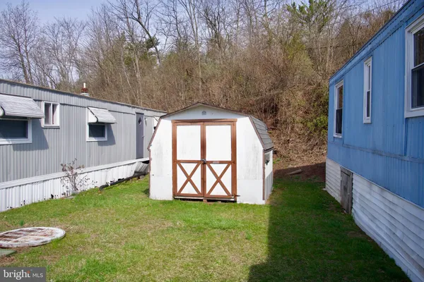 a view of a backyard with barn plants and large tree