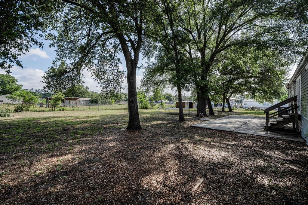 39723 Pretty Pond Road Zephyrhills, FL 33540 - Photo 40 of 54 Gallery Image 40