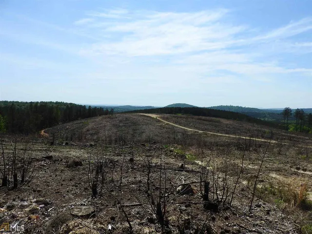 a view of a field with trees in the background