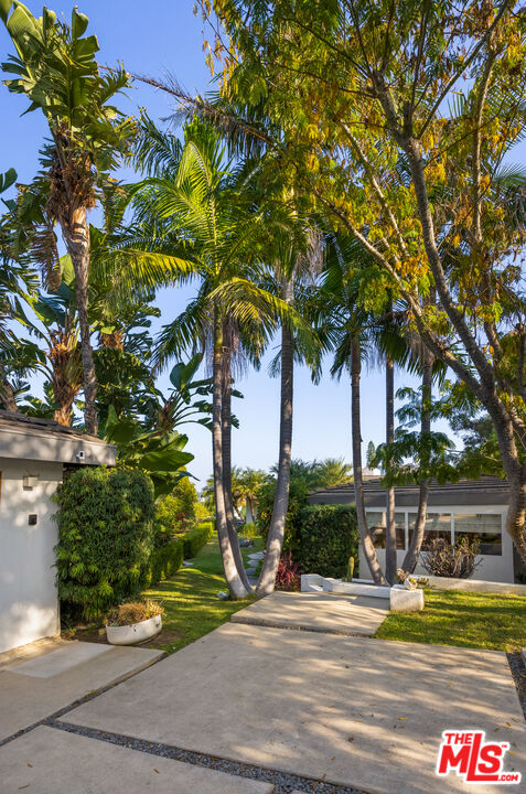 1000 Stradella Road Los Angeles, CA 90077 - Photo 35 of 45 a view of a park that has a tree in it