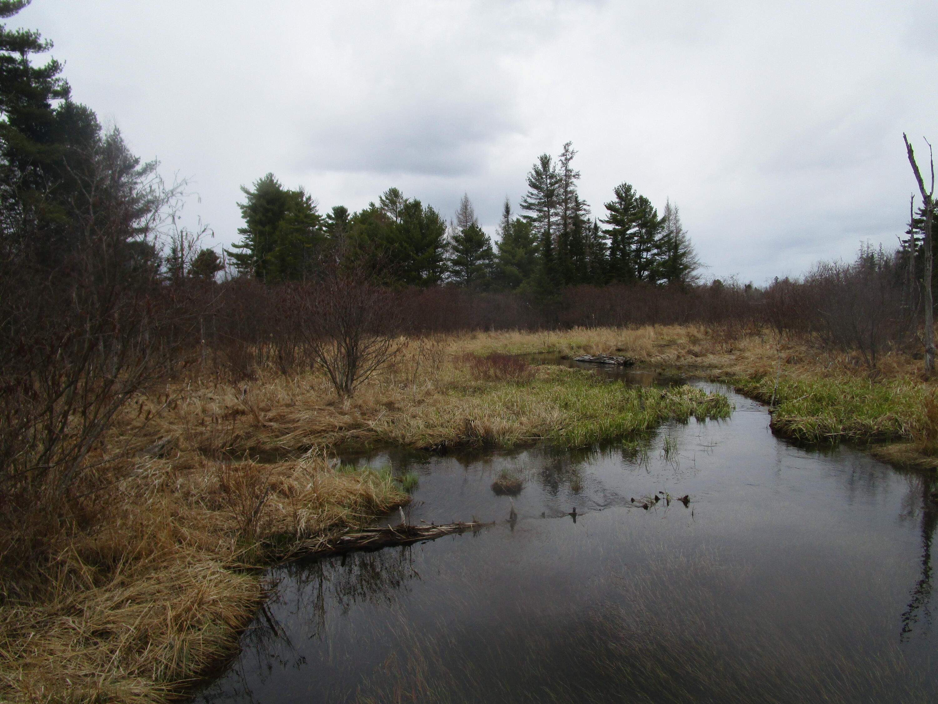 180 Rebel Hill Road Clifton, ME 04428 - Photo 7 of 9 IMG_3856