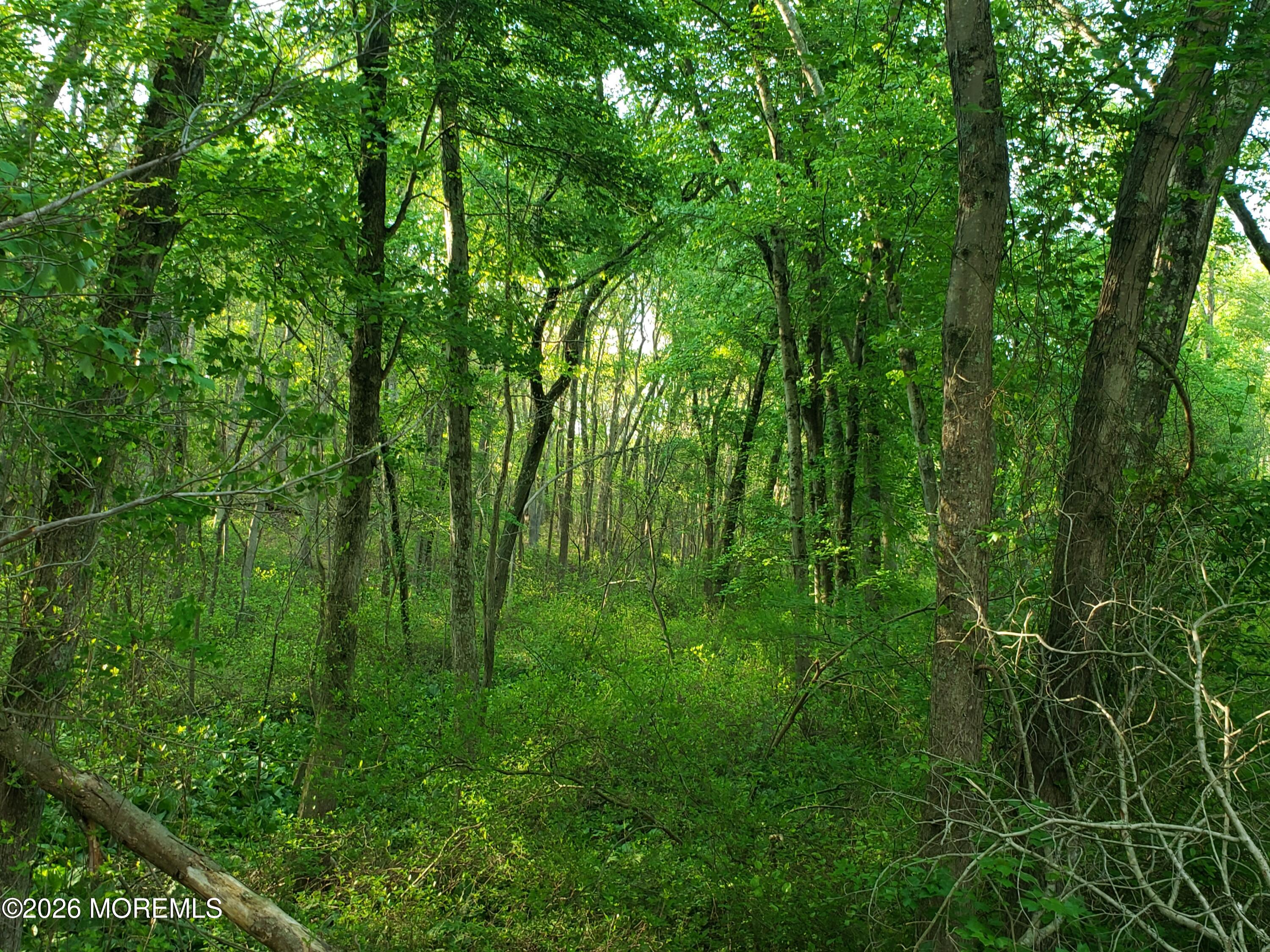 689 Freehold Road Jackson, NJ 08527 - Photo 48 of 58 20260513_075635