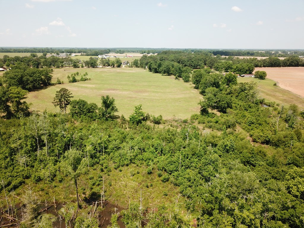 4.7-acres Lot 1 4.7-acres Road Fort Rucker, AL 36362 - Photo 2 of 3