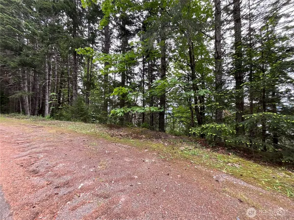 $135,000 | 6 North Colony Surf Drive, Lilliwaup, WA 98555
