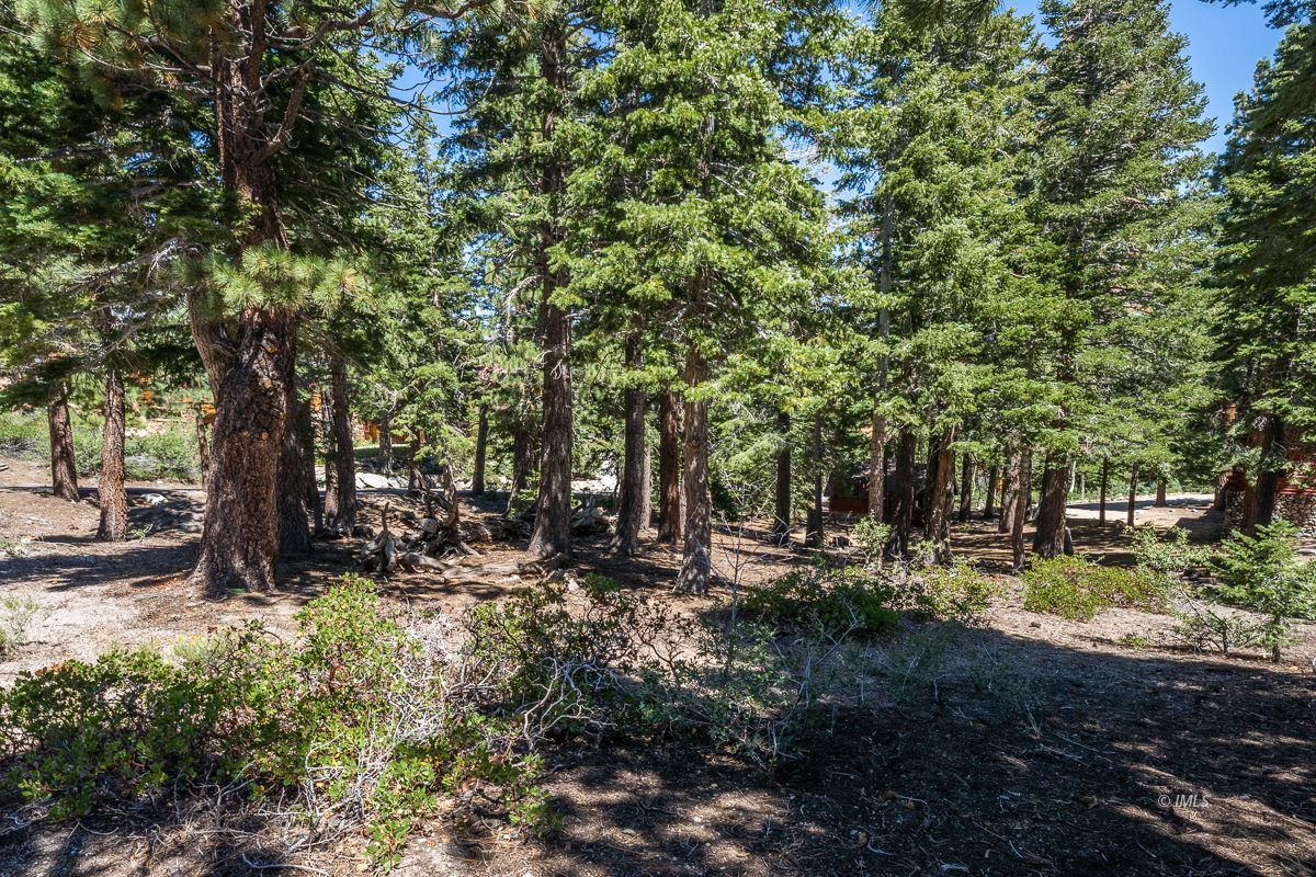 135 Summit Street Mammoth Lakes, CA 93546 - Photo 12 of 15 a backyard of a house with lots of green space