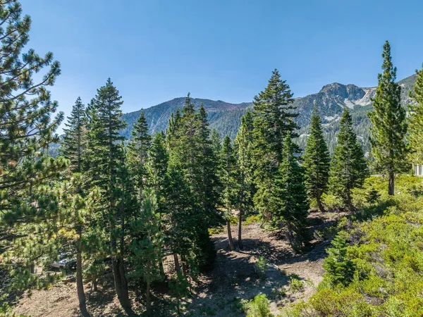 a view of a plants in front of a house