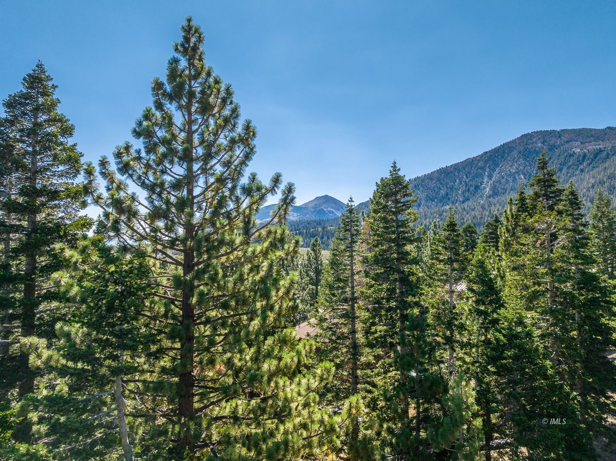 135 Summit Street Mammoth Lakes, CA 93546 - Photo 15 of 15 a view of a building
