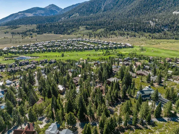 a view of a green field with lots of bushes and mountain view