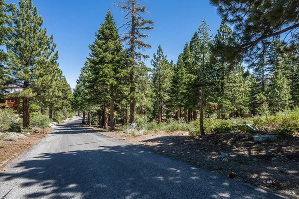 a view of street view with trees
