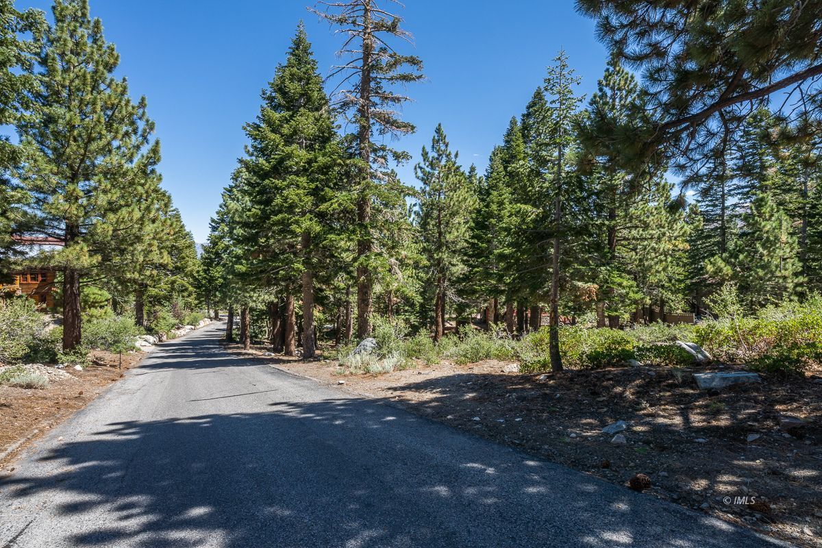 135 Summit Street Mammoth Lakes, CA 93546 - Photo 10 of 15 a view of street view with trees