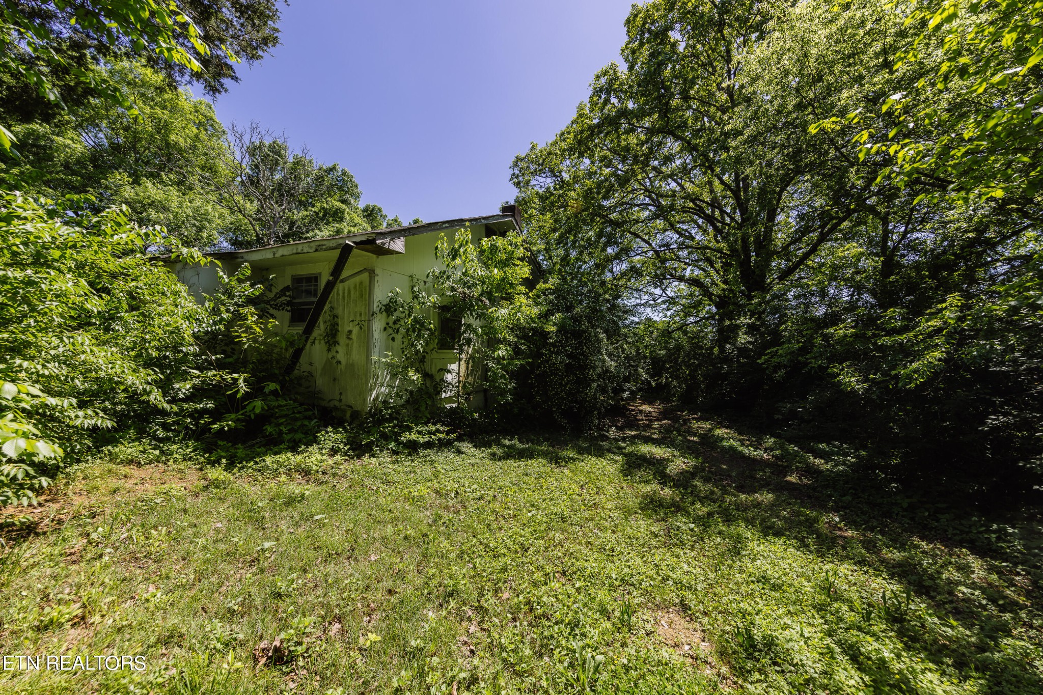 5937 Morganton Road Greenback, TN 37742 - Photo 27 of 47 Gallery Image 27