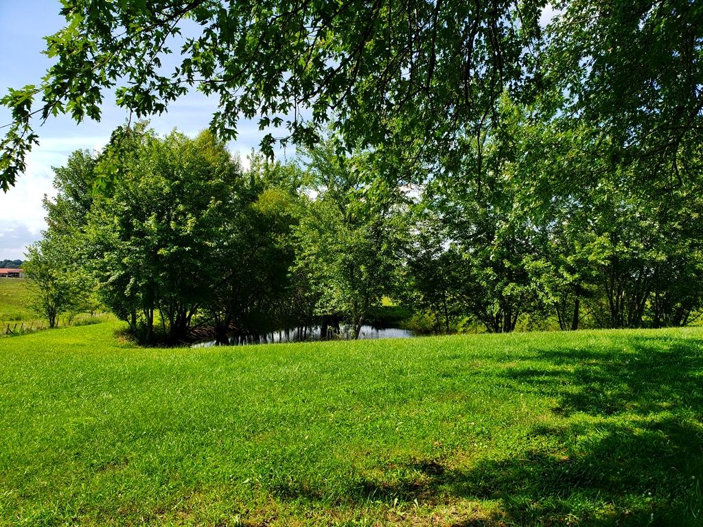 60 Wilson Road Pikeville, TN 37367 - Photo 23 of 33 25