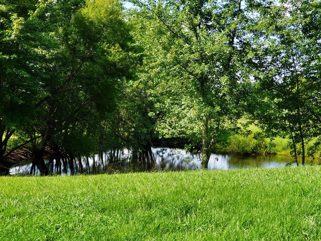 60 Wilson Road Pikeville, TN 37367 - Photo 24 of 33 26