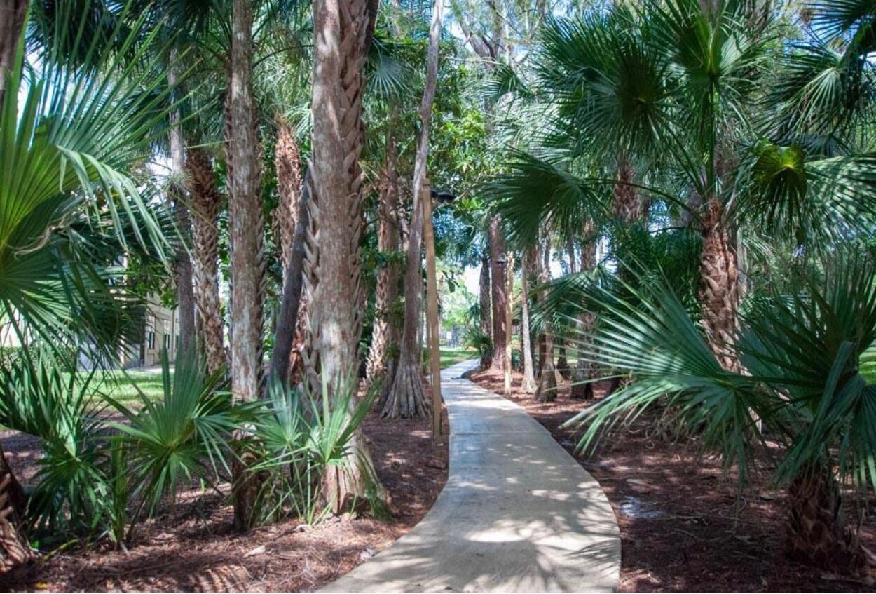 12969 Pennypacker Trail, Unit 15 Wellington, FL 33414 - Photo 23 of 25 a view of outdoor space and trees