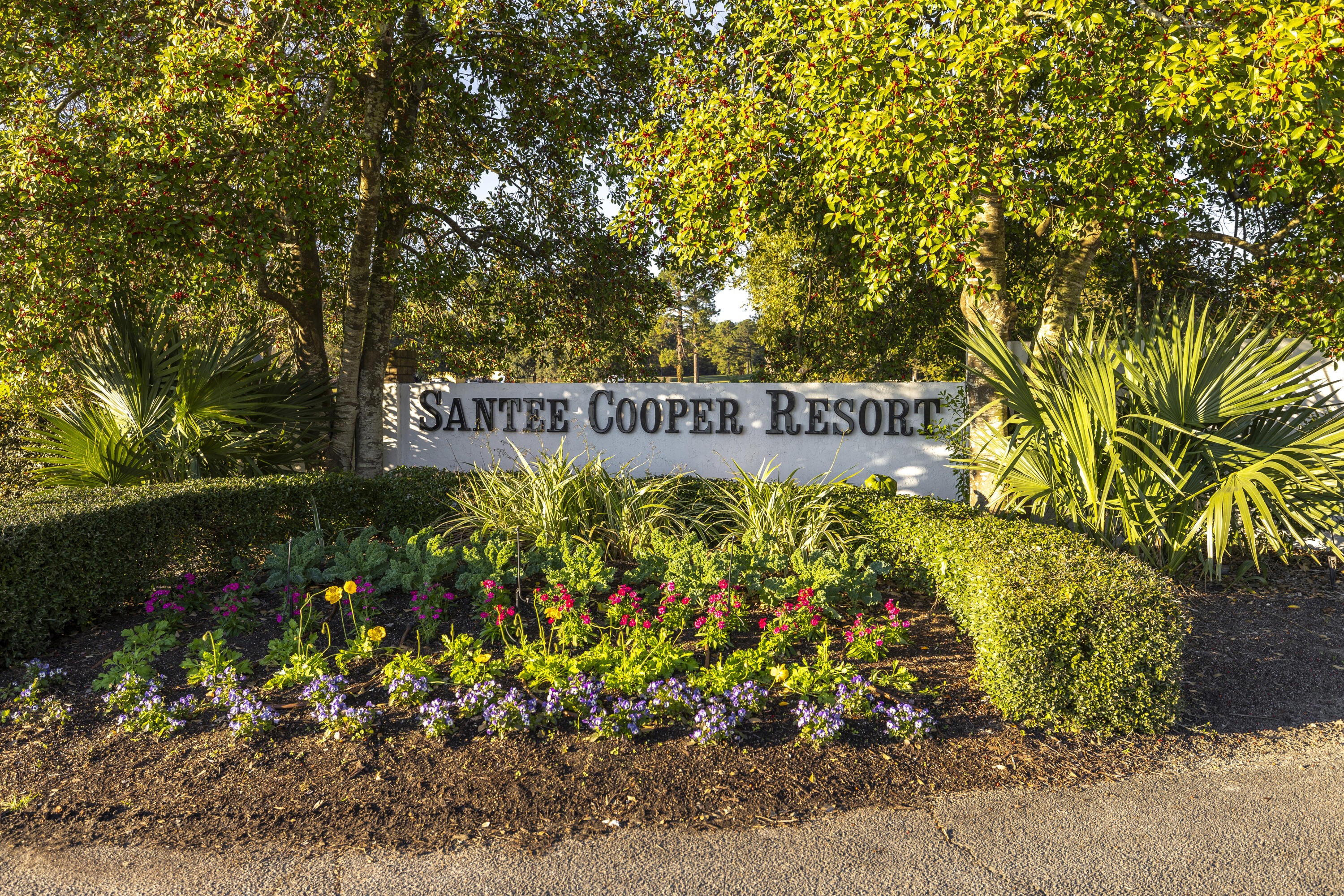 612 Santee Drive Santee, SC 29142 - Photo 3 of 48 Sch 21