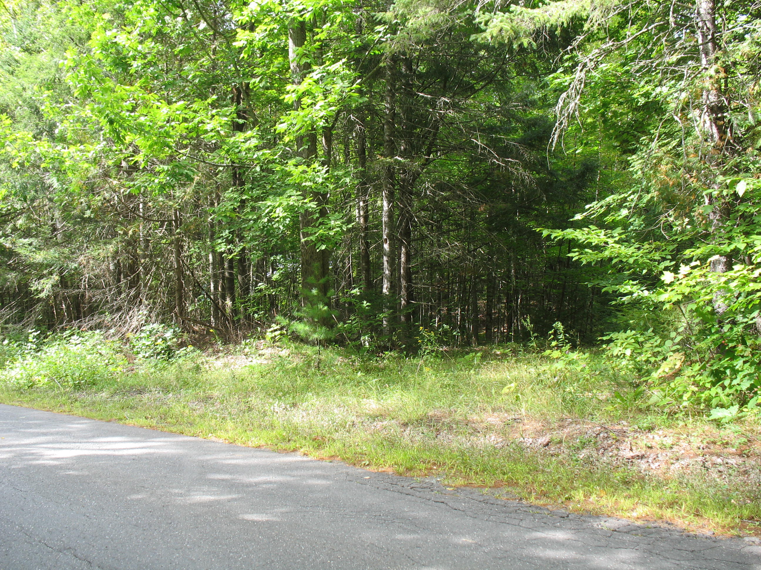 76-3 Wharff Road Guilford, ME 04443 - Photo 4 of 7 Wharrf rd 001