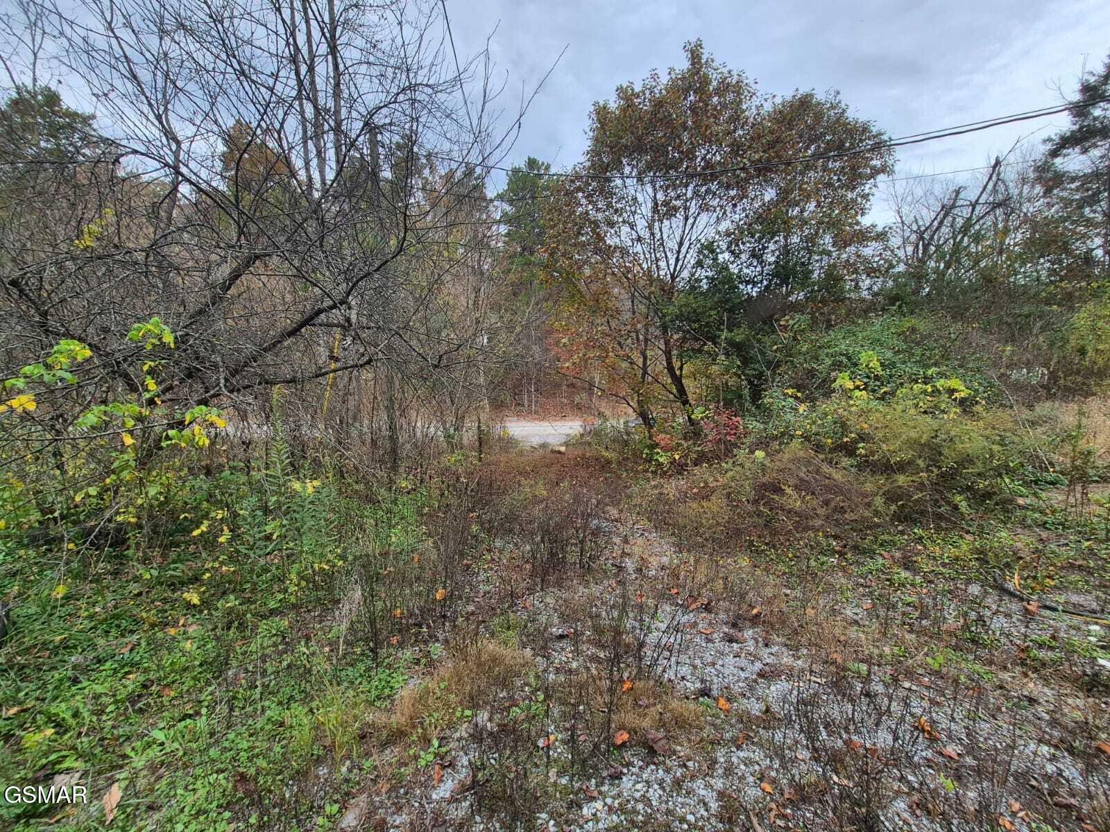 2318 Henderson Springs Road Pigeon Forge, TN 37863 - Photo 11 of 17