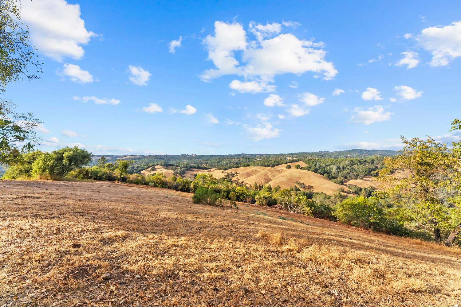 16029 Butte Mountain Road Jackson, CA 95642 - Photo 50 of 59 Gallery Image 50