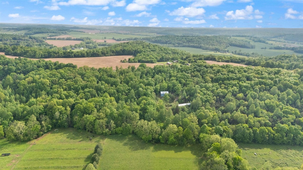7314 Blue Level Road Rockfield, KY 42274 - Photo 44 of 46 Gallery Image 44